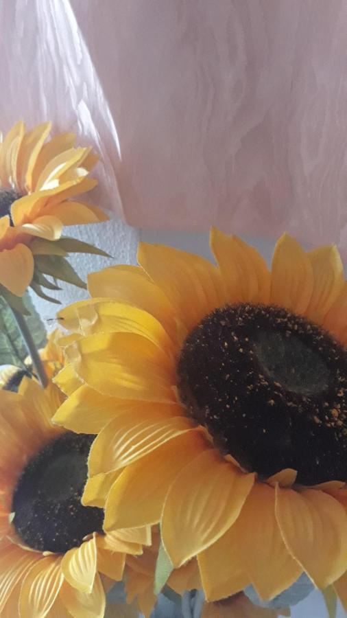 فيلا Casa Del Girasole يتوجاني المظهر الخارجي الصورة